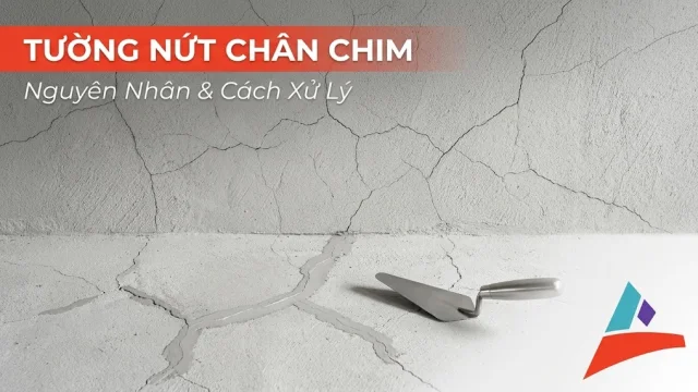 Nguyên Nhân Và Cách Xử Lý Tường Nứt Chân Chim Từ Góc Nhìn Kỹ Sư