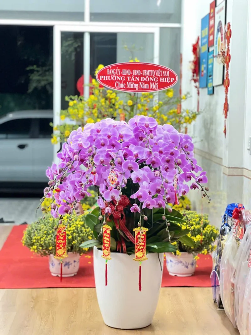 Lãnh đạo phường Tân Đông Hiệp đến thăm và chúc Tết Cường Thịnh Phát