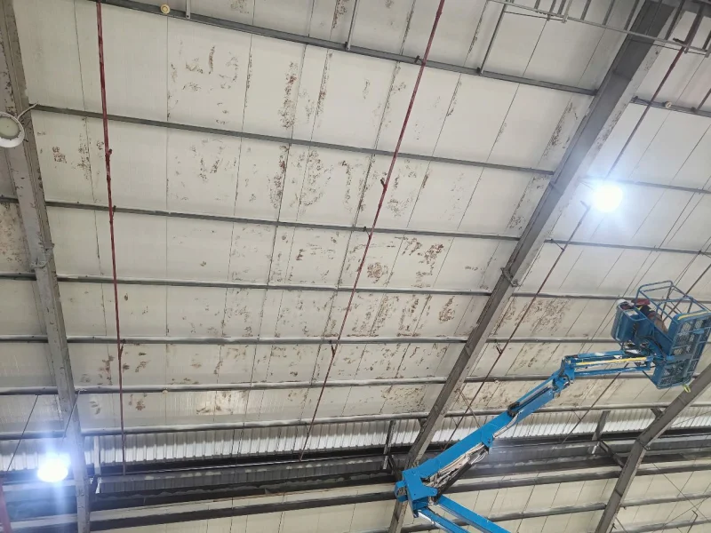 Thi công sơn mái và cải tạo nhà xưởng DSR Vina tại KCN Mỹ Phước 3